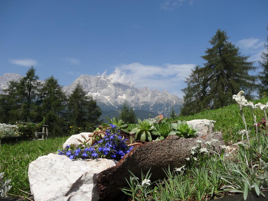 Hotel La Caminatha Val di Zoldo Buitenkant foto