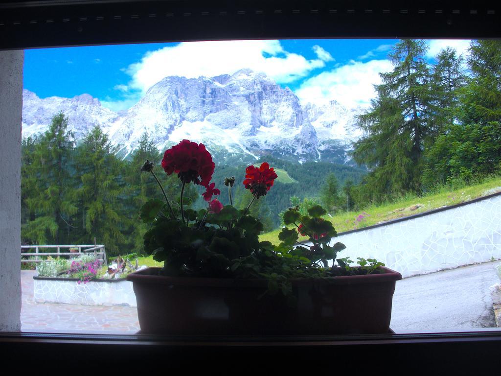 Hotel La Caminatha Val di Zoldo Buitenkant foto